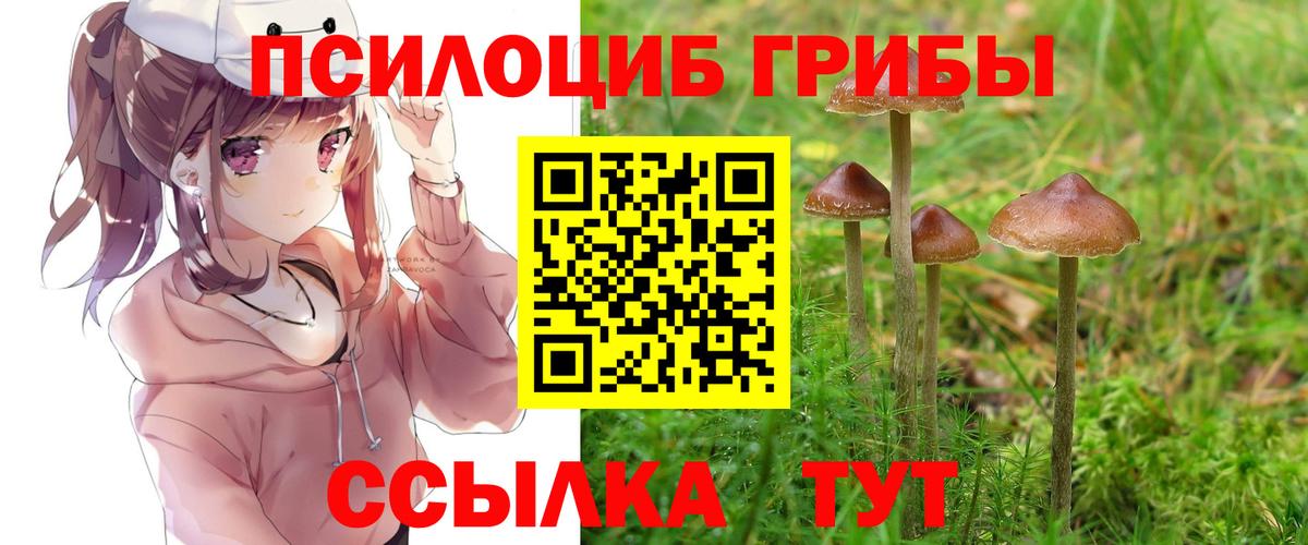 Псилоцибиновые грибы Cubensis Лабытнанги